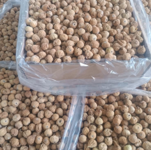 انجیر ممتاز استهبان