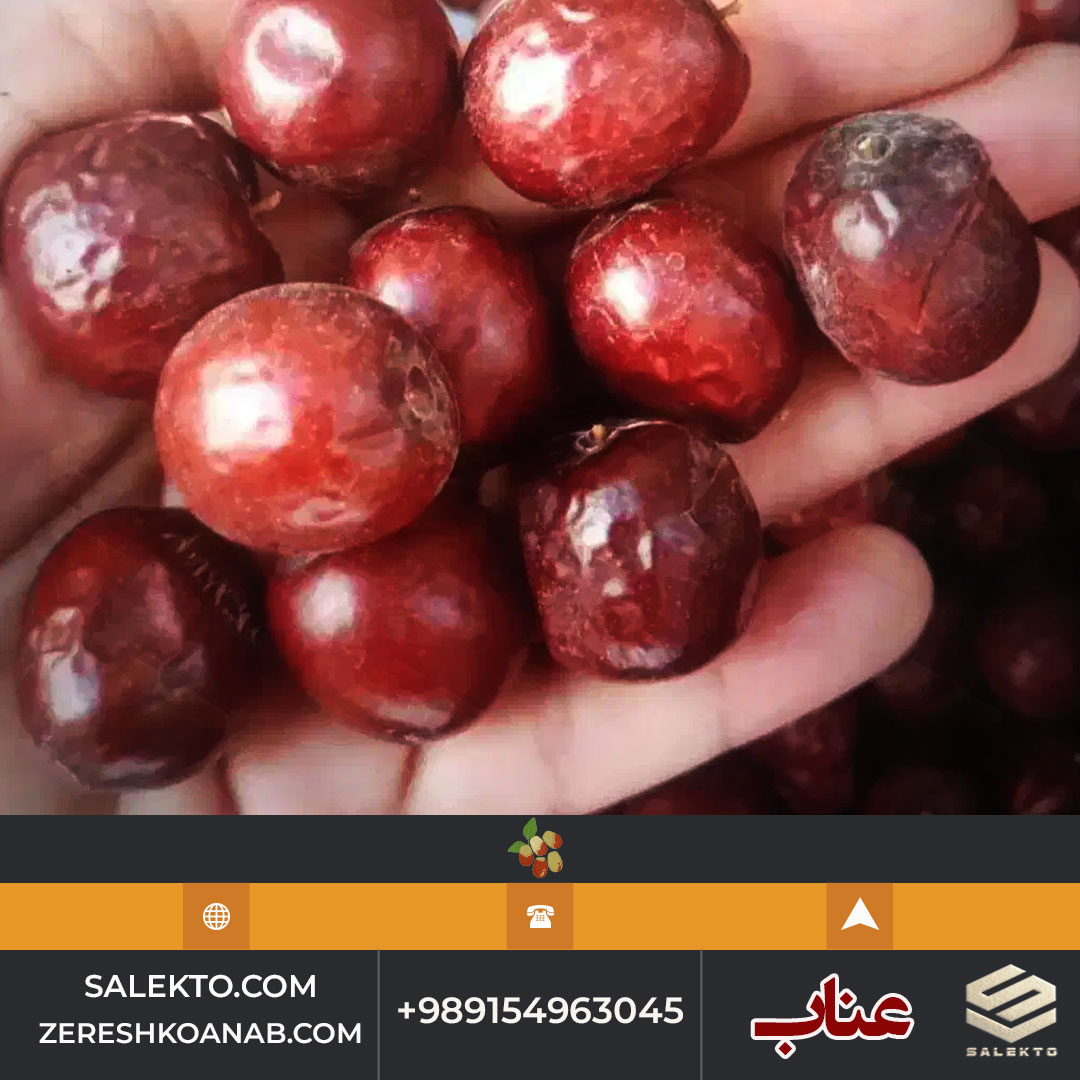 عناب خشک ممتاز خراسان جنوبی با خواص آرام‌ بخش و ضد استرس