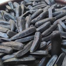 تخمه آفتابگردان خوی + فروش ویژه