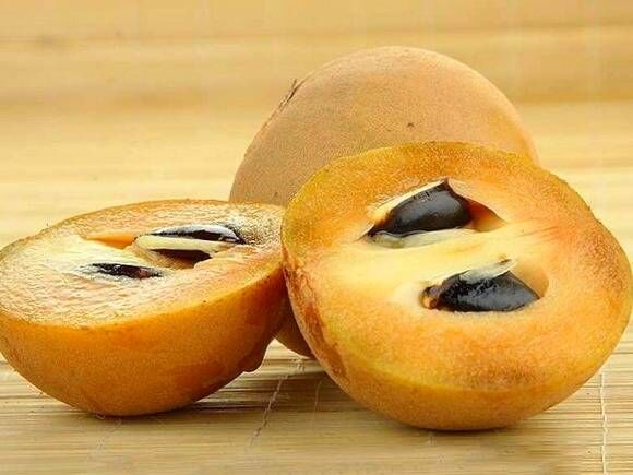 فروش عمده چیکو تازه + خرید چیکو سیستان