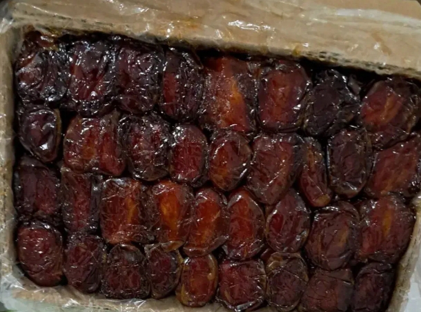 خرما کبکاب درجه یک کارتن ۲.۵ کیلویی + فروش عمده