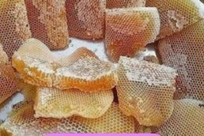 فروش ویژه اینترنتی عسل نیمه تغذیه + قیمت عادلانه