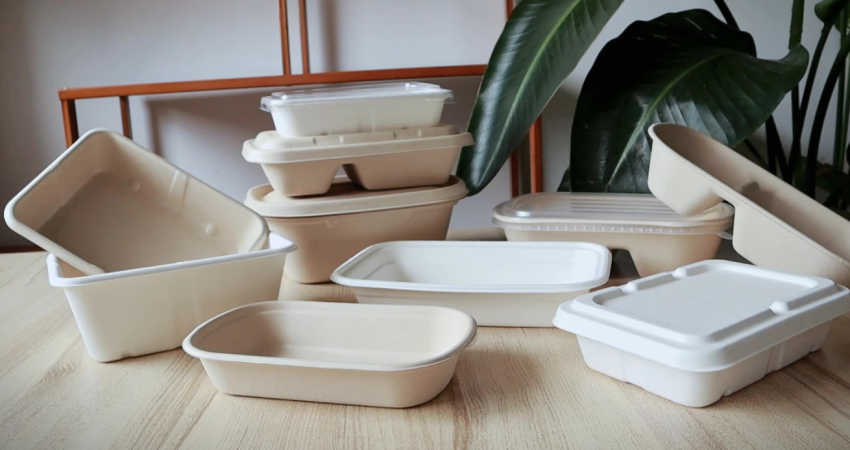 تصویر 1 از خرید ظروف یکبار مصرف گیاهی درب دار