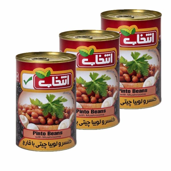 قیمت خرید کنسرو لوبیا چیتی با قارچ با فروش عمده