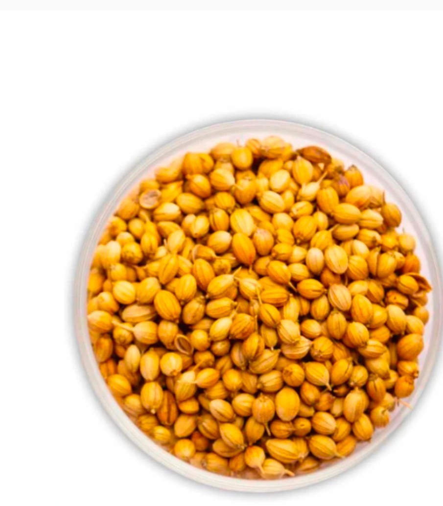 خرید بذر گشنیز در یزد + خشک تازه