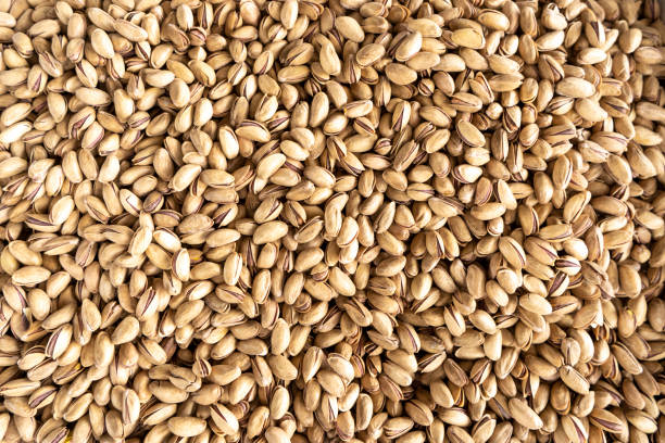 قیمت و فروش پسته اکبری شور با شرایط ویژه