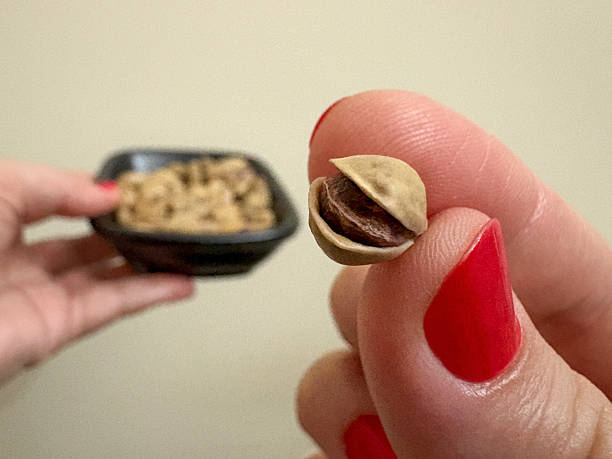 قیمت خرید پسته شاه پسند سفید عمده به صرفه و ارزان