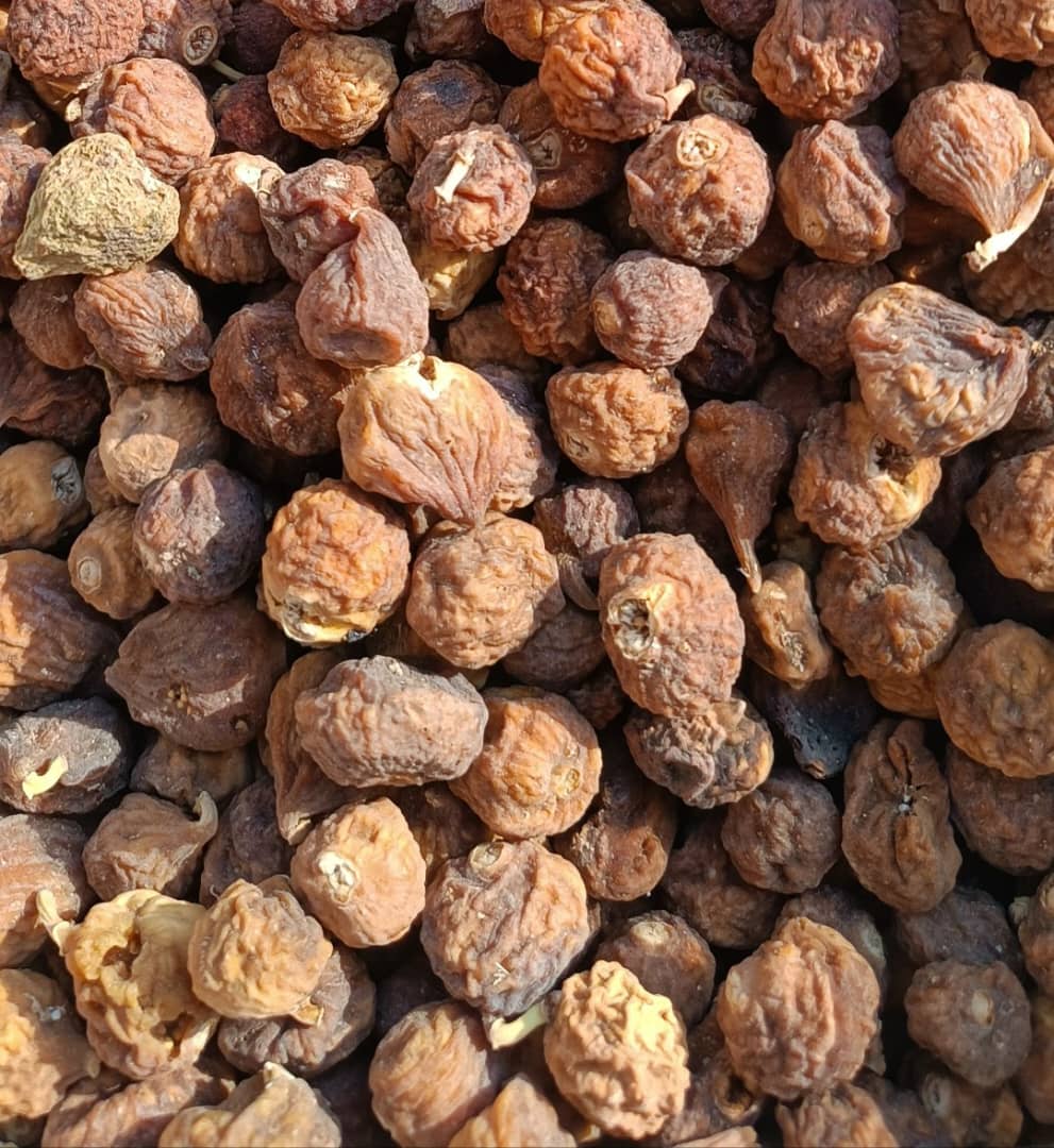 فروش انجیر لاکی + مناسب برای مربا