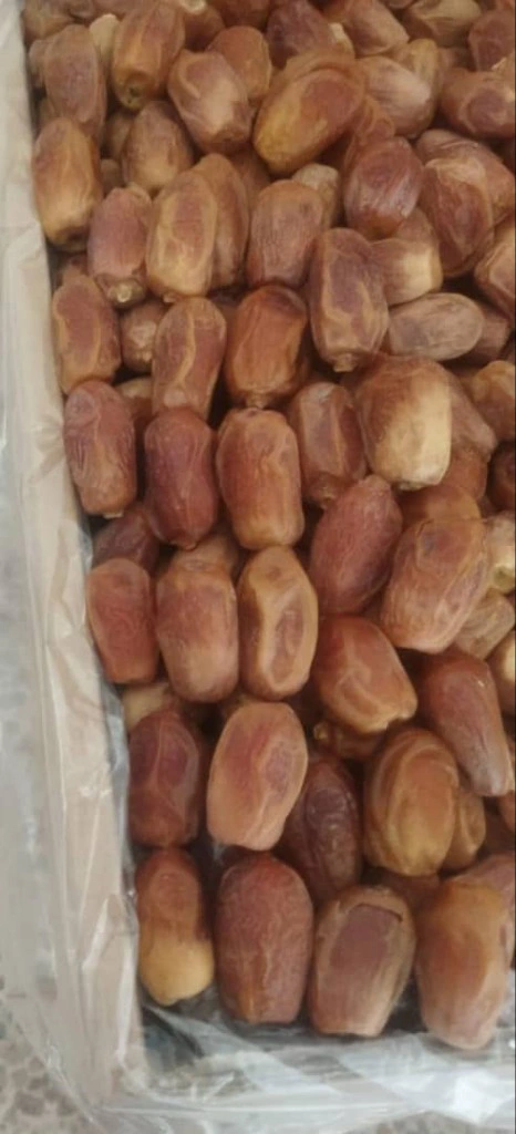 خرید انواع خرما زاهدی + خرید عالی