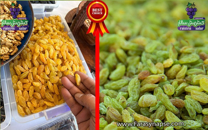 خرید عمده کشمش سبز قلمی + خرید