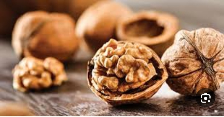 قیمت فروش گردوی کاغذی تجربه به یاد ماندنی + فروش عمده