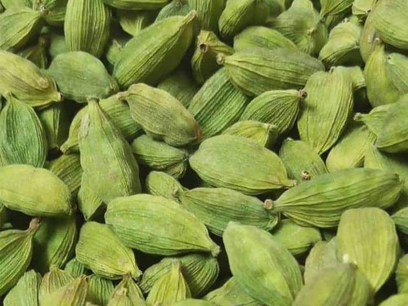 خرید و قیمت هل سبز + فروش عمده