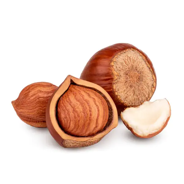 خرید و قیمت فندق  خام + فروش عمده