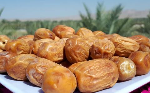 تصویر 4 از قیمت خرید خرما زاهدی اعلا عمده به صرفه و ارزان