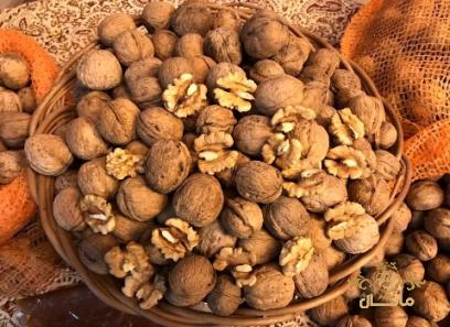 فروش گردو کاغذی قاهان + فروش عمده