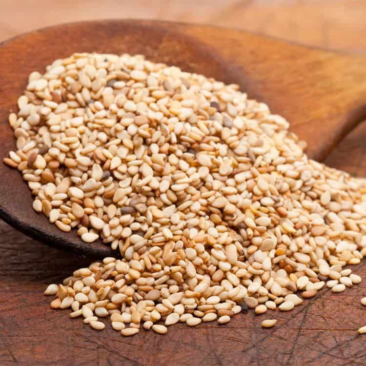 قیمت خرید معجون کنجد با فروش عمده