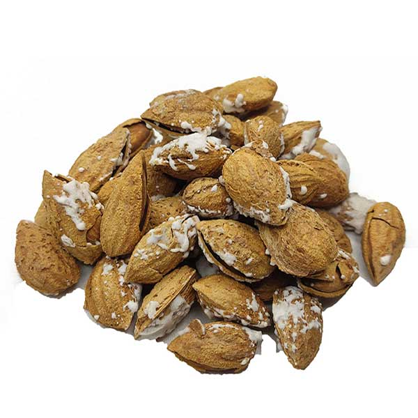 فروش بادام درختی با پوست