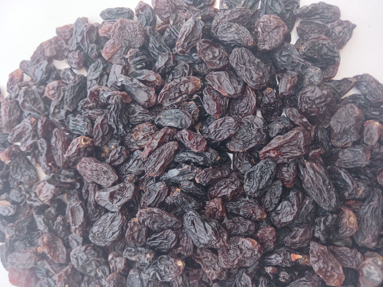 مویز ازبک + قيمت استثنائی