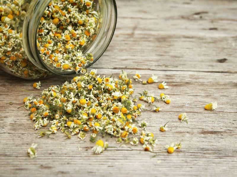 خرید و قیمت دمنوش بابونه + فروش عمده