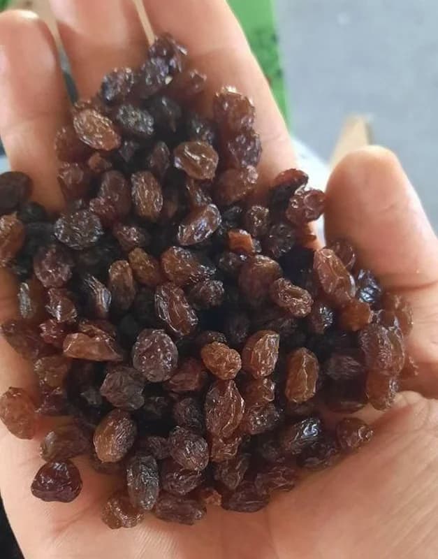 خرید و قیمت کشمش پلویی آفتابی + فروش عمده