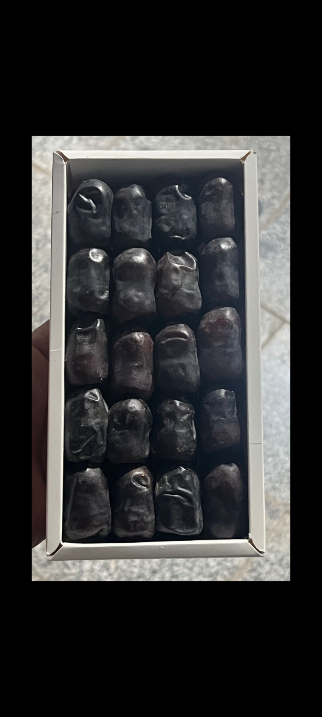 خرید خرمای مضافتی صادراتی عمده