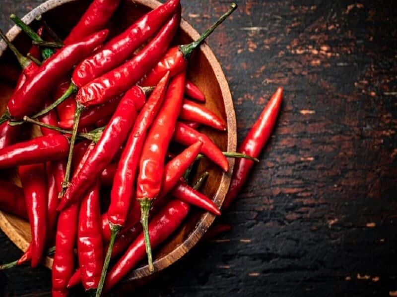 خرید و قیمت فلفل قرمز ایرانی + فروش عمده