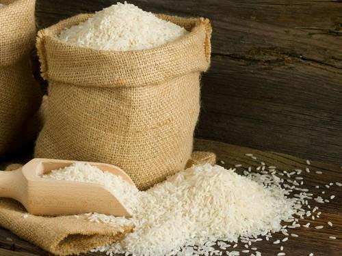 قیمت خرید برنج با فروش عمده
