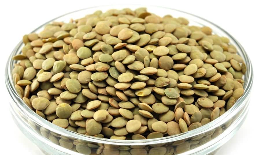 قیمت خرید عدس عمده به صرفه و ارزان