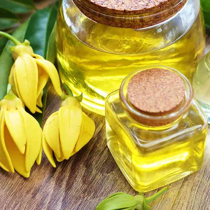 قیمت روغن گیاهی پوست (برای پوست خشک و حساس) + فروش ویژه