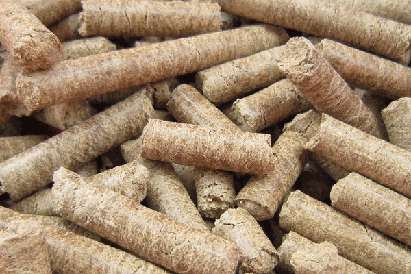 عرضه مستقیم تفاله کنجد برای دام + خرید