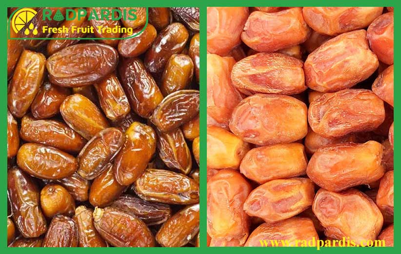 تصویر 2 از قیمت خرما زاهدی تازه برداشت عمده فروشی ویژه