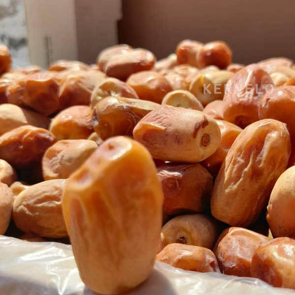 تصویر 2 از قیمت خرید خرما زاهدی ایرانی جدید