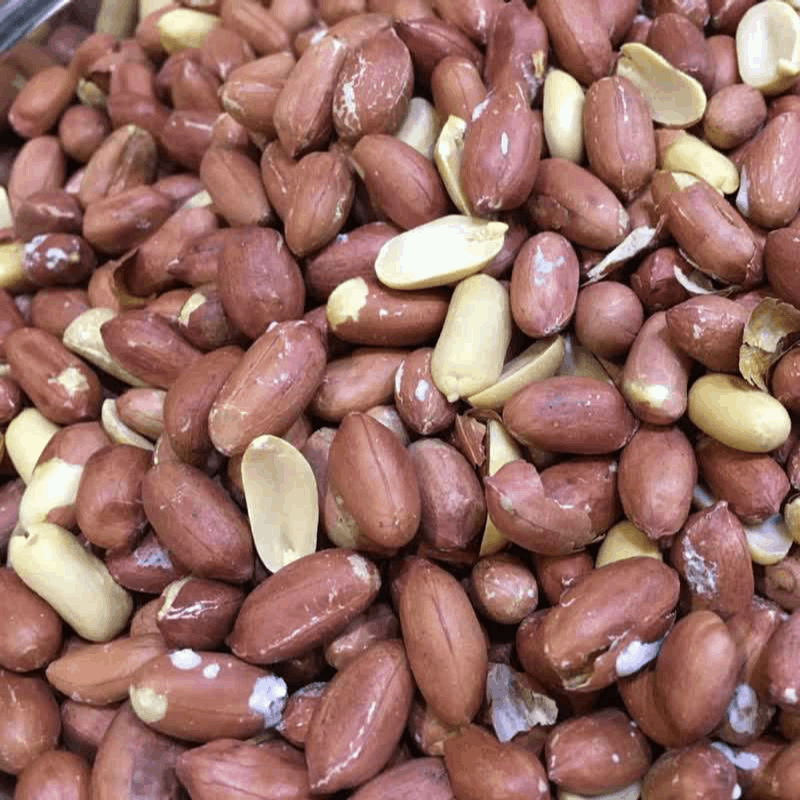 بادام زمینی آستانه اشرفیه