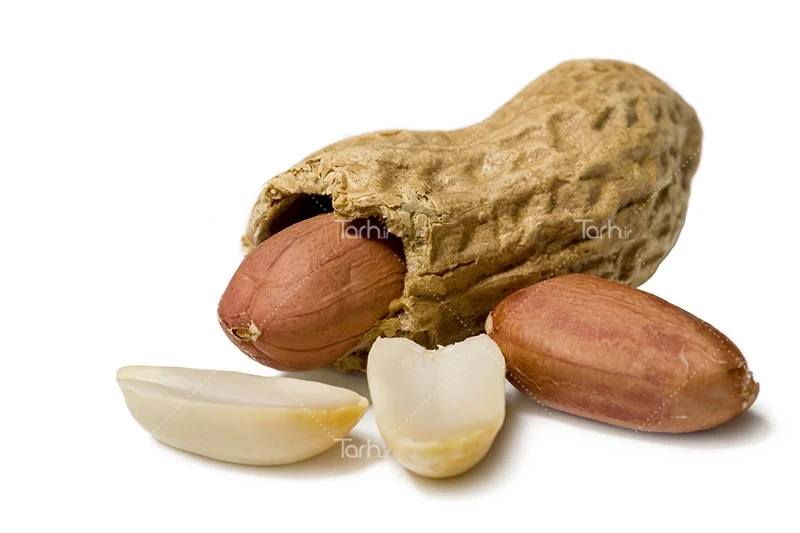 خشکبار مرغوب آستانه اشرفیه