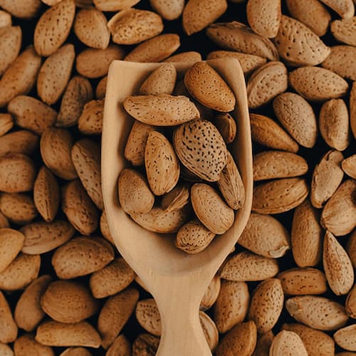 قیمت بادام سنگی + خرید باور نکردنی