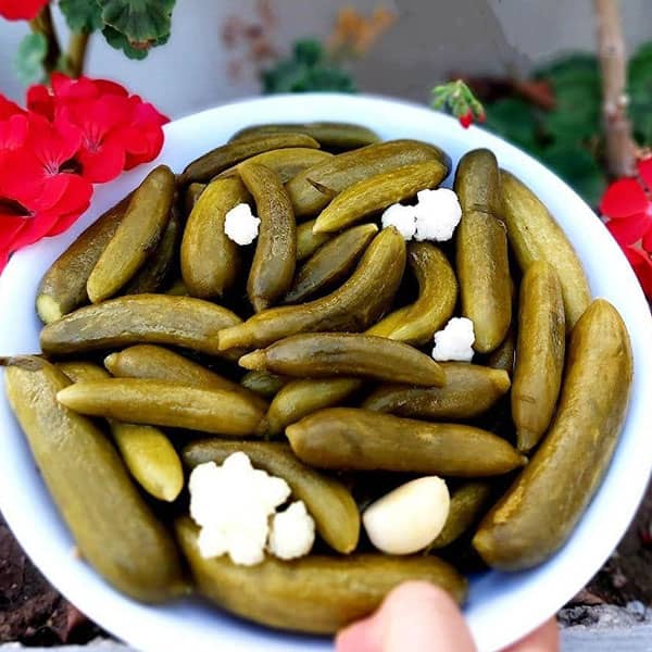 خرید و فروش  خیار شور تخمیری + فروش عمده