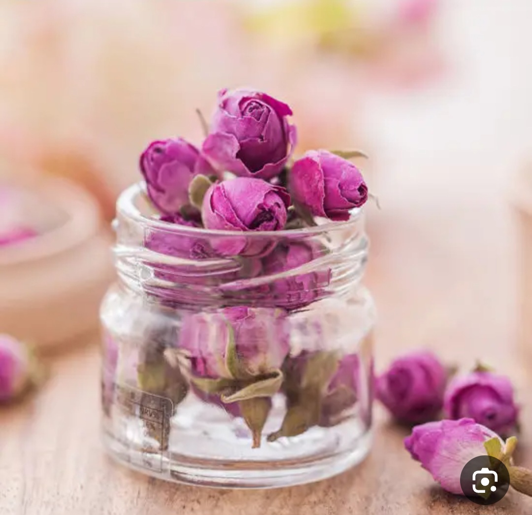 راهنمای خرید غنچه گل محمدی + با ارسال رایگان