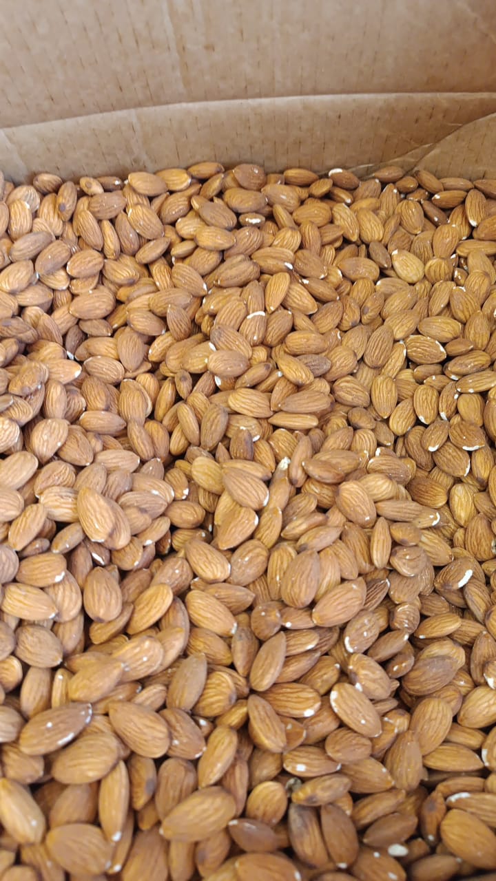 فروش ویژه مغز بادام زرین خارجی + خرید به صرفه