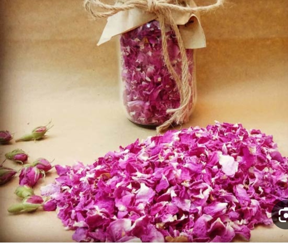 خرید غنچه گل محمدی دارابی