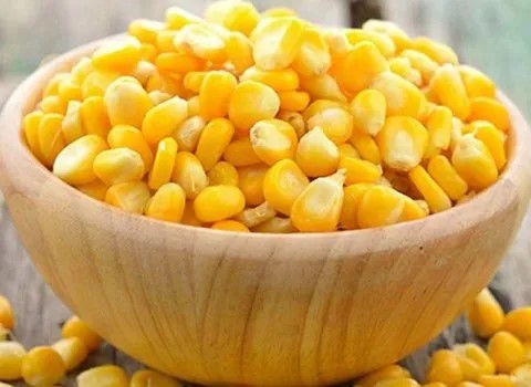 قیمت خرید ذرت منجمد کیلویی + فروش ویژه