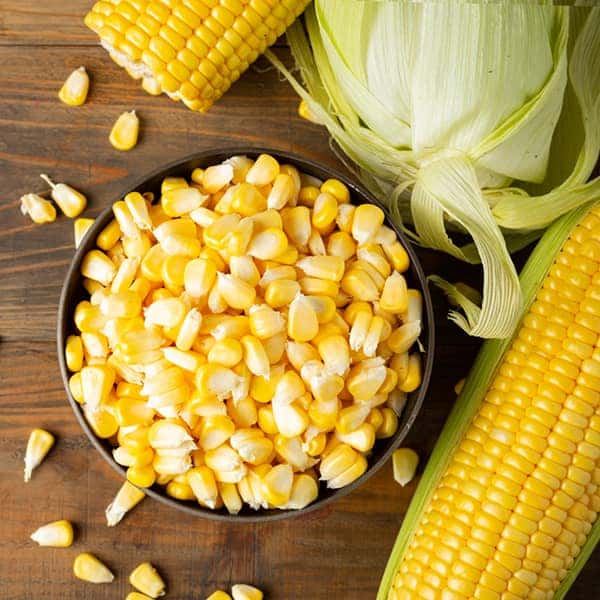 قیمت روز ذرت