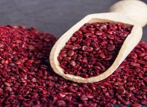 خرید و فروش عمده سماق دانه قرمز صادراتی با قیمت ویژه