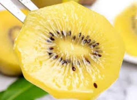 قیمت کیوی هایوارد طلایی با کیفیت ارزان + خرید عمده