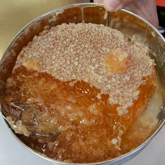 خرید عسل کندو با قیمت باور نکردنی