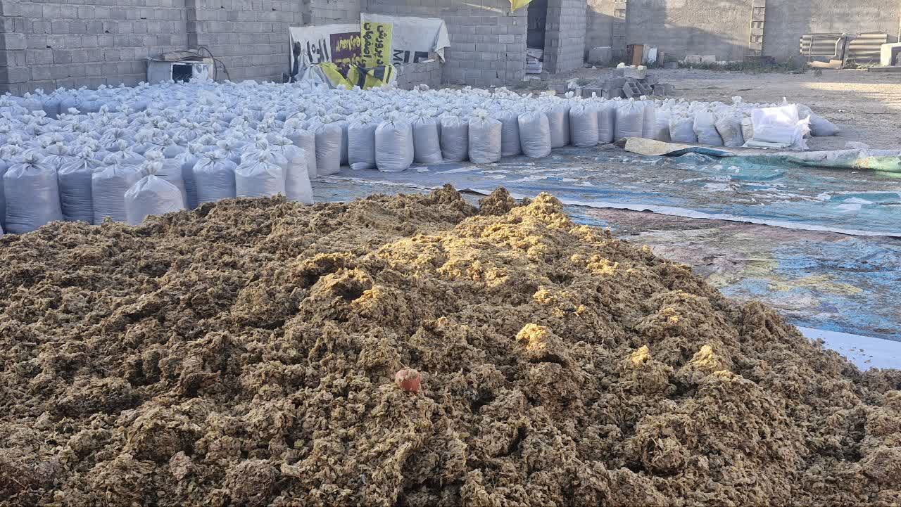 خرید تفاله سیب برای گوسفند عمده