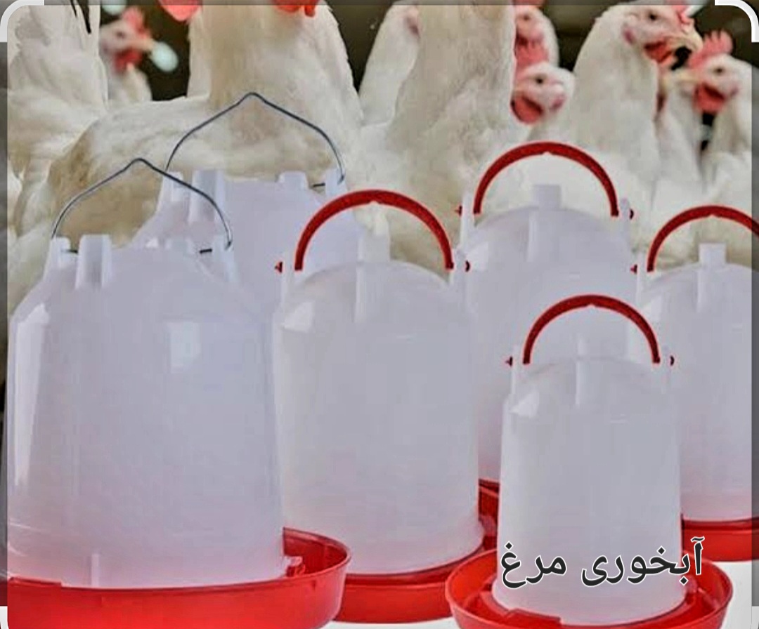 قیمت خرید ابخوری مرغ متری سفارش عمده