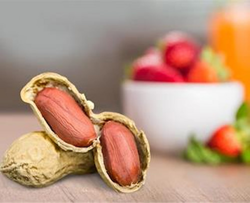 قیمت و خرید بادام زمینی آستانه + فروش ارزان