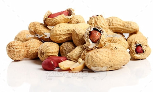 قیمت خرید بادام زمینی غلاف دار + فروش ویژه