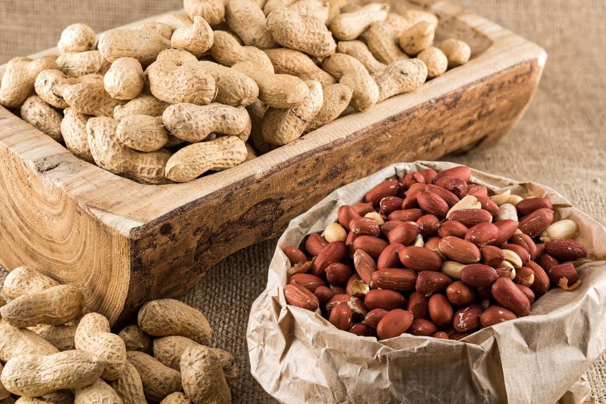 بادام زمینی مرغوب آستانه + فروش استثنایی