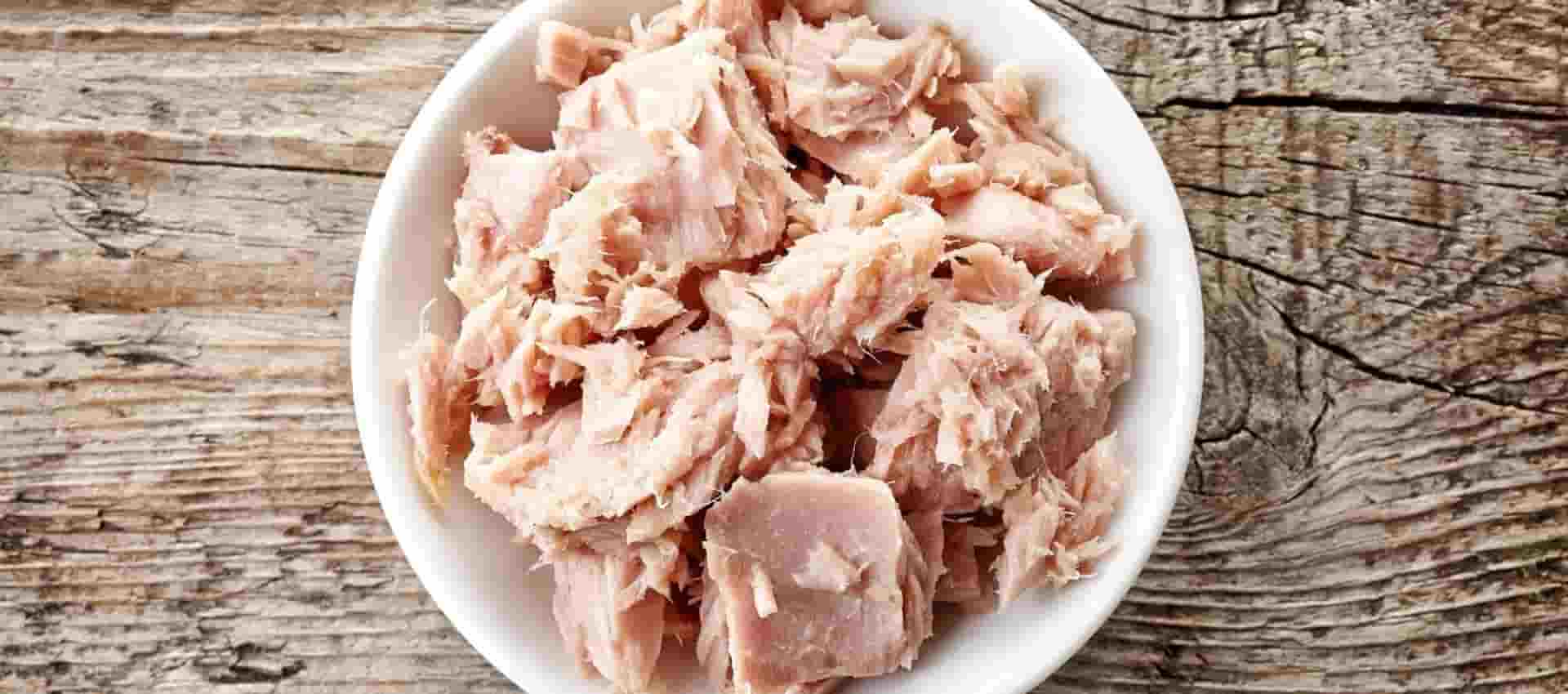 قیمت خرید کنسرو ماهی + فروش ویژه